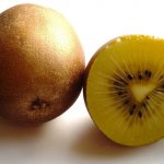 Kiwi 'Goldy'