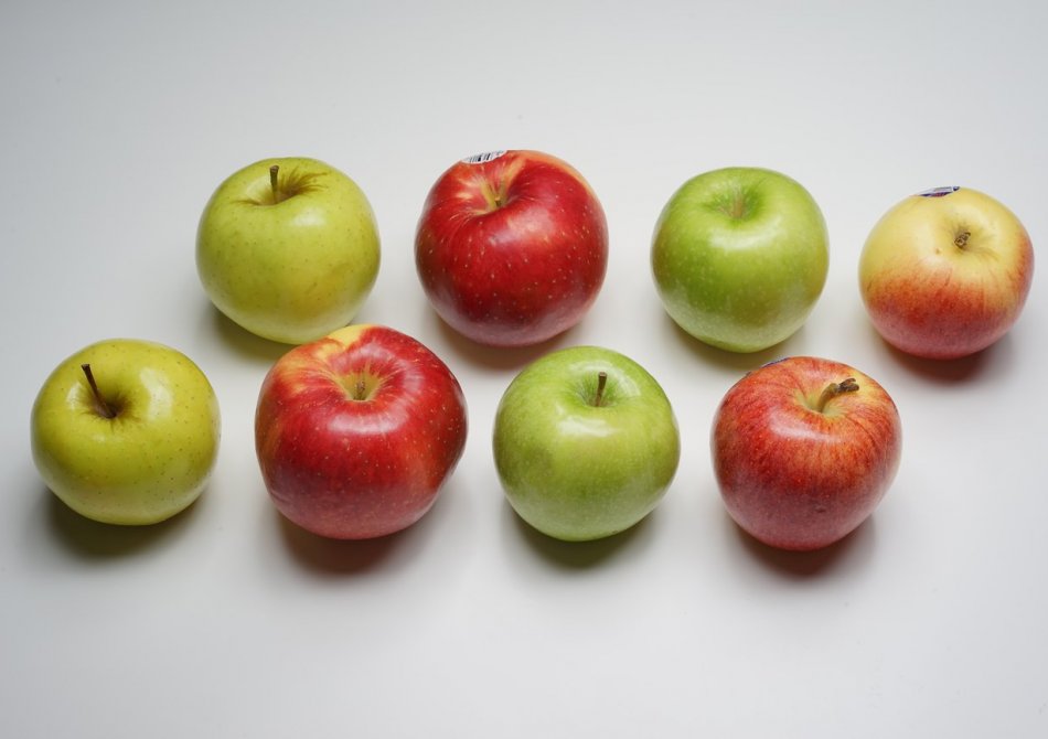 Meerdere fruitsoorten aan één boom