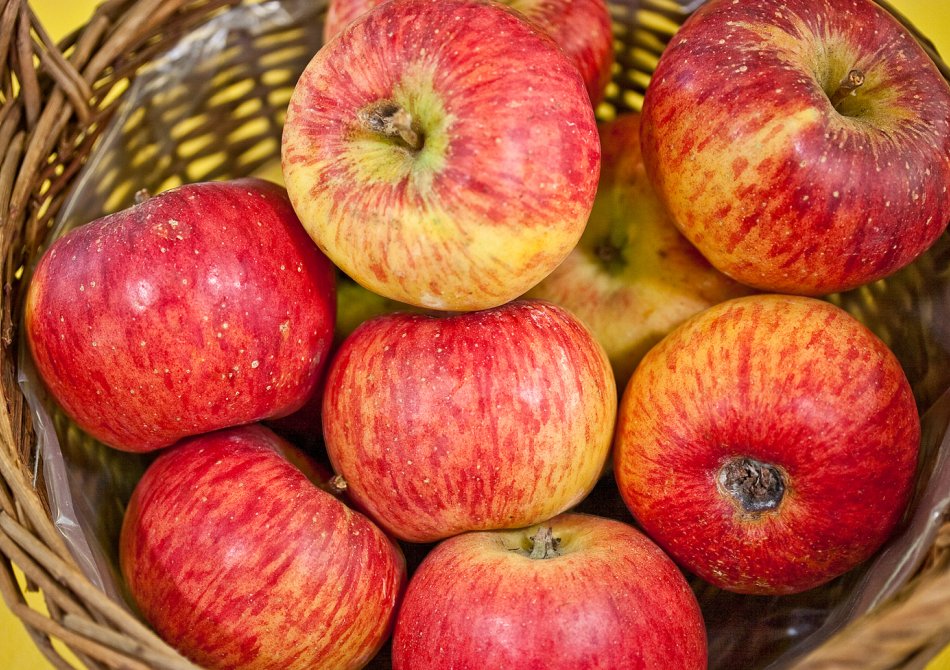 Ziekteresistente appelrassen voor de biologische fruittuin