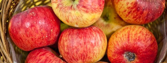 Ziekteresistente appelrassen voor de biologische fruittuin