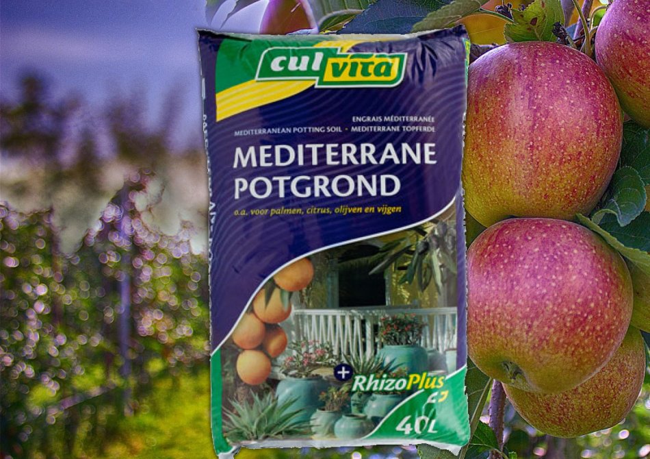 Mediterrane potgrond