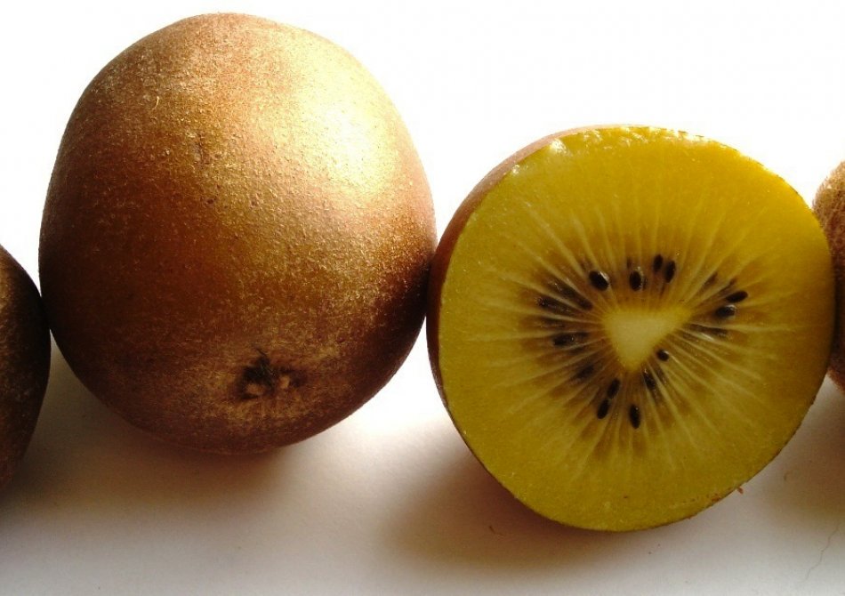 Kiwi 'Goldy'