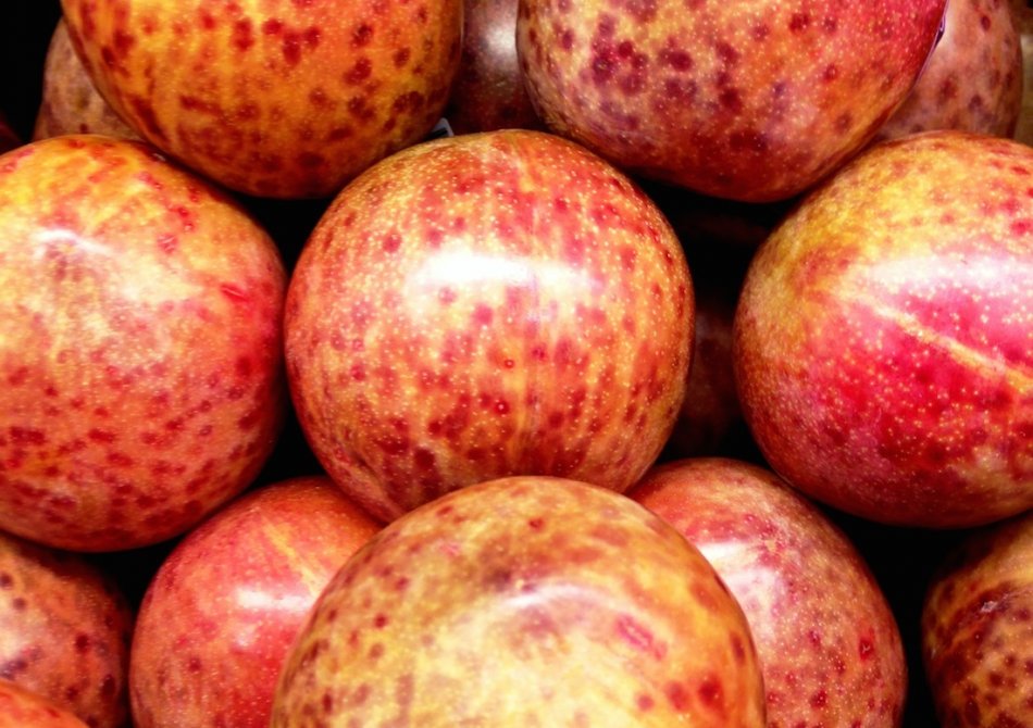 Pluot 'Dapple Dandy' ®