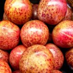 Pluot 'Dapple Dandy' ®