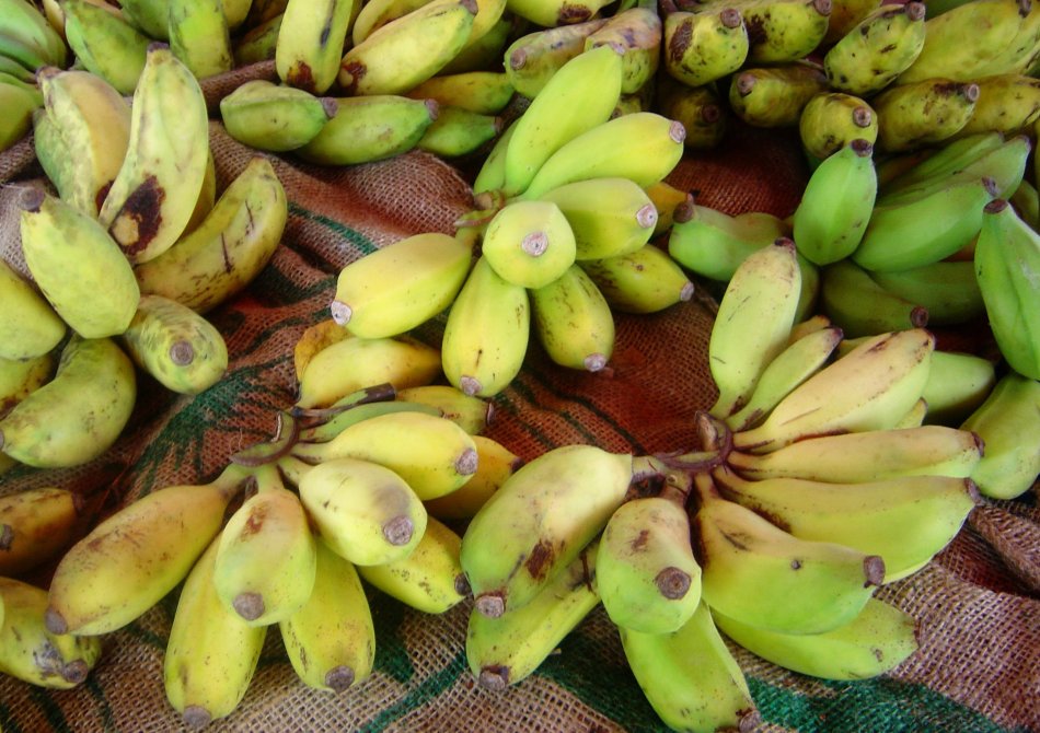 Banaan 'Da Jiao’